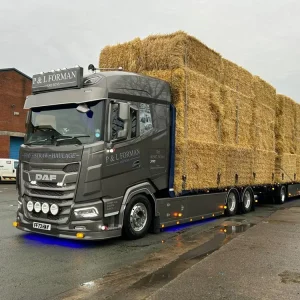 Mod 241146Hb / P&L Forman